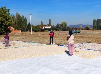 Kutahyada Cerezlik Kabak Hasadi Basladi