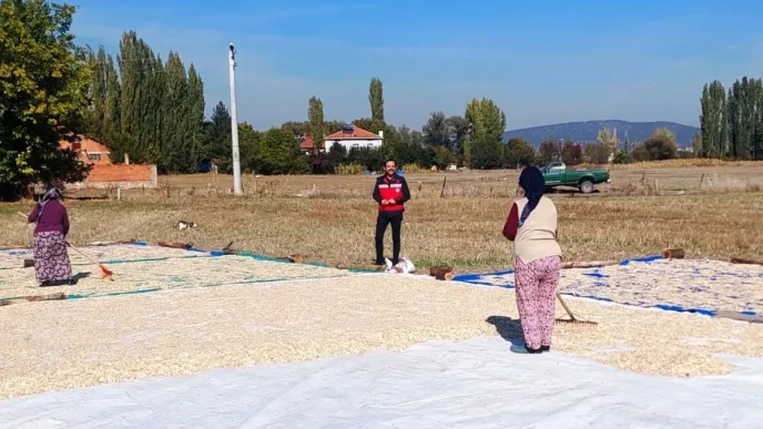 Kutahyada Cerezlik Kabak Hasadi Basladi