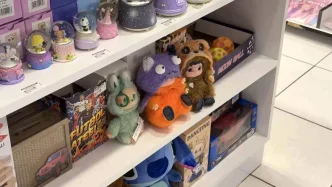 Labubu Oyuncak Cilginligi Hirsizliga Donustu