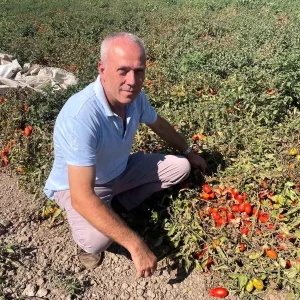 Londrada Fast Food Zinciri Kurdu Uretime Tarimla Devam Etti