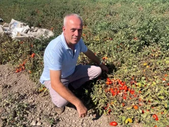 Londrada Fast Food Zinciri Kurdu Uretime Tarimla Devam Etti