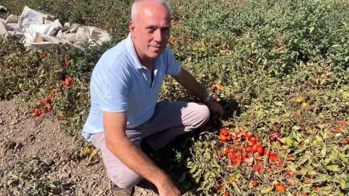 Londrada Fast Food Zinciri Kurdu Uretime Tarimla Devam Etti