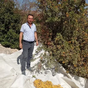 Malatyada Yabani Alic Hasadi Devam Ediyor