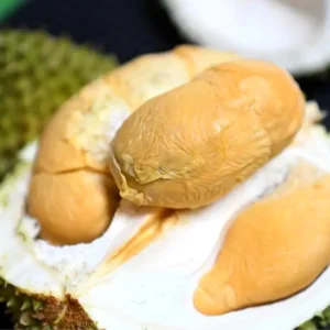 Malezyanin Raub Bolgesinden Cine Durian Ihracati