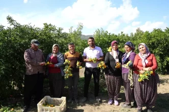 Mandalina Fiyatlari Adanada Dususte 15 TLden 8 TLye