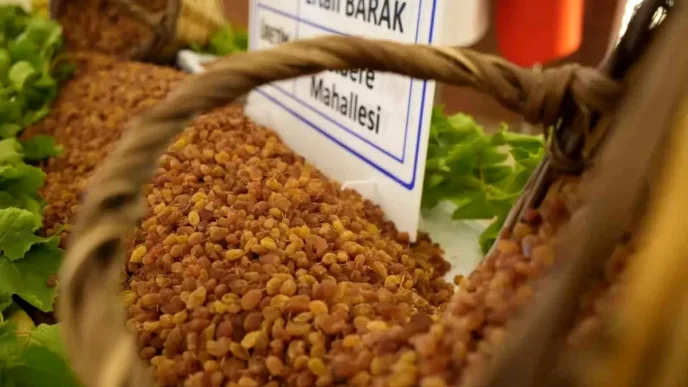 Manisa'nın Tarım İhracatı Yüzde 18,5 Arttı 2 Manisanin Tarim Ihracati Yuzde 185 Artti