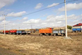 Musta 2025 Seker Pancari Alim Sezonu Tum Hiziyla Devam Ediyor
