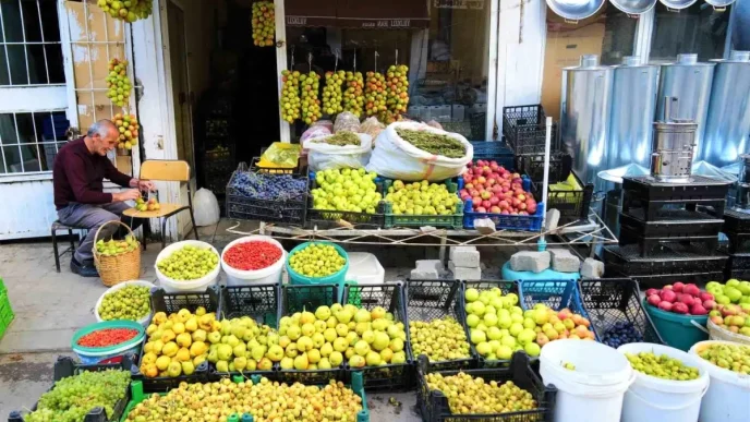 Musta Geleneksel Guz Armutlarinin 40 Yillik Hikayesi