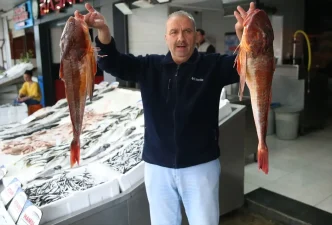 Orduda Kirlangic Baligi Sezonu Balikcilar Memnun