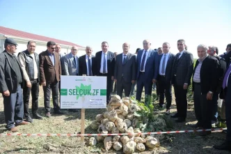 PANKOBIRLIK ve Selcuk Universitesi tarafindan gelistirilen yerli seker pancari tohumu