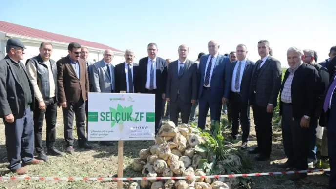 PANKOBIRLIK ve Selcuk Universitesi tarafindan gelistirilen yerli seker pancari tohumu