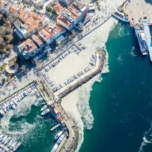 Planktonla beslenen baliklarin stok yogunlugu kontrol edilmeli Video eklendi