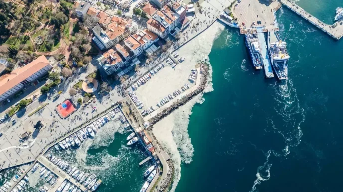 Planktonla beslenen baliklarin stok yogunlugu kontrol edilmeli Video eklendi