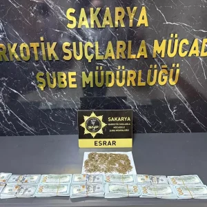 Sakaryada Uyusturucu Operasyonunda Calinan Dolarlar Ele Gecirildi