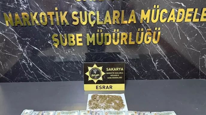Sakaryada Uyusturucu Operasyonunda Calinan Dolarlar Ele Gecirildi