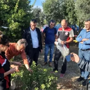 Sakiz Agaci Uretiminin Yayginlastirilmasi Projesi Kapsaminda Teknik Gezi Duzenlendi