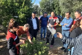 Sakiz Agaci Uretiminin Yayginlastirilmasi Projesi Kapsaminda Teknik Gezi Duzenlendi