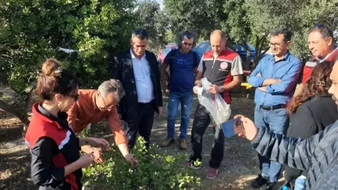 Sakiz Agaci Uretiminin Yayginlastirilmasi Projesi Kapsaminda Teknik Gezi Duzenlendi