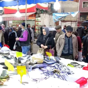 Samsunda Balik Fiyatlari Dustu Hamsi ve Istavrit 75 Lira