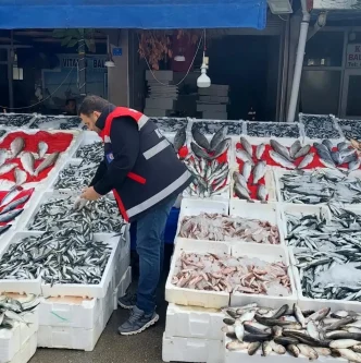 Samsunda Balikci Esnaflarina Denetim Yapildi