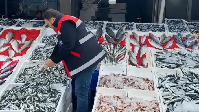 Samsunda Balikci Esnaflarina Denetim Yapildi