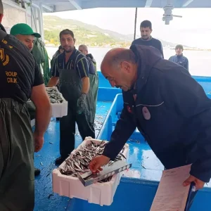 Samsunda Hamsi Avciliginda Kota ve Uretim Planlamasi Uygulamalari Basladi