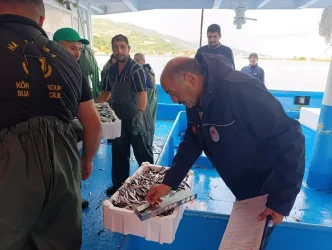 Samsunda Hamsi Avciliginda Kota ve Uretim Planlamasi Uygulamalari Basladi