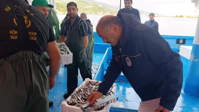 Samsunda Hamsi Avciliginda Kota ve Uretim Planlamasi Uygulamalari Basladi