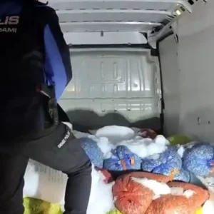 Samsunda Kacak Midye Operasyonu 2 Ton Midye Ele Gecirildi