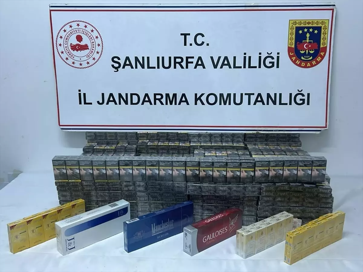 Şanlıurfa'da Gümrük Kaçakçılığı Operasyonu: 3 Şüpheli Tutuklandı 3 Sanliurfada Gumruk Kacakciligi Operasyonu 3 Supheli Tutuklandi