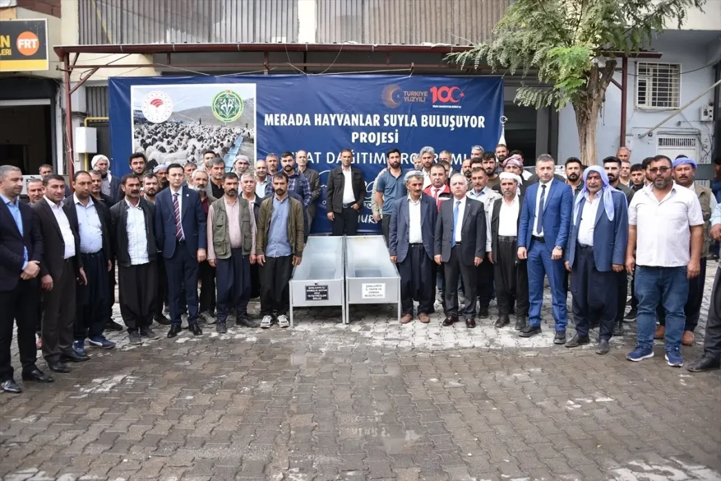 Şanlıurfa'da Hayvancılığa Destek: 400 Sıvat Dağıtıldı 2 Sanliurfada Hayvanciliga Destek 400 Sivat Dagitildi
