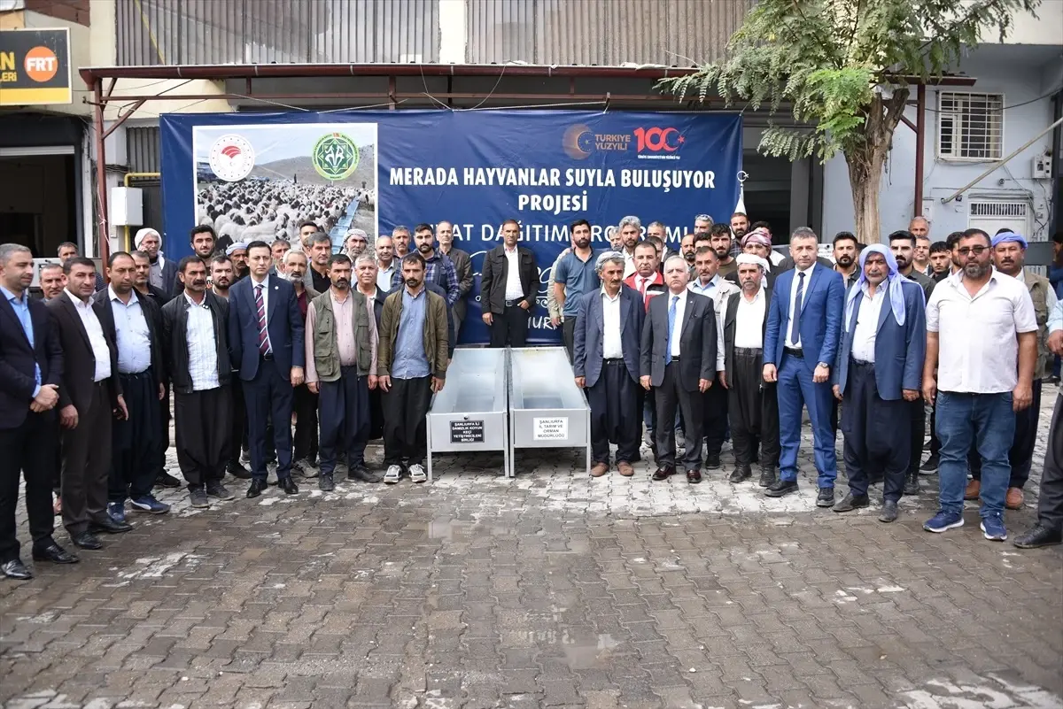 Şanlıurfa'da Hayvancılığa Destek: 400 Sıvat Dağıtıldı 3 Sanliurfada Hayvanciliga Destek 400 Sivat Dagitildi