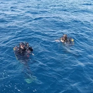 Saros Korfezinde Yapay Resif Projesi Icin Yer Tespiti Yapildi