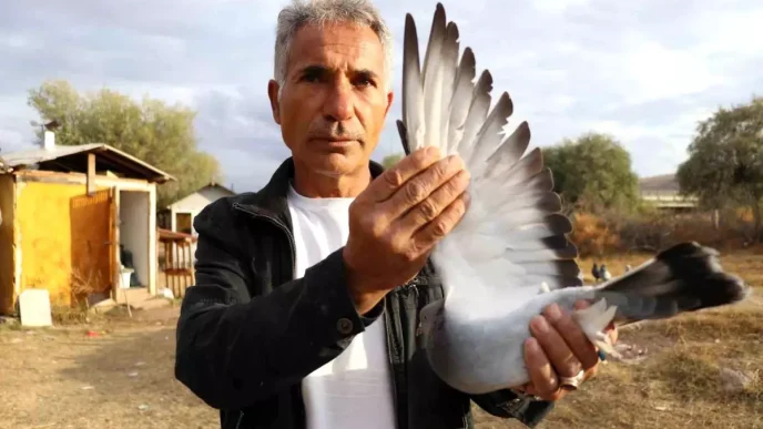 Sivas Kusu Ozel Irk ve Yurt Disindan Gelen Talep