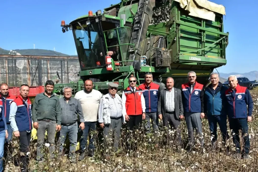 Soke Pamugunun Hasat Donemi Devam Ediyor