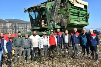 Soke Pamugunun Hasat Donemi Devam Ediyor