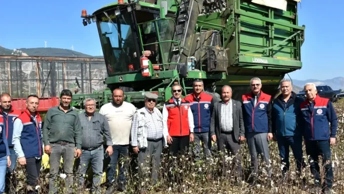 Soke Pamugunun Hasat Donemi Devam Ediyor