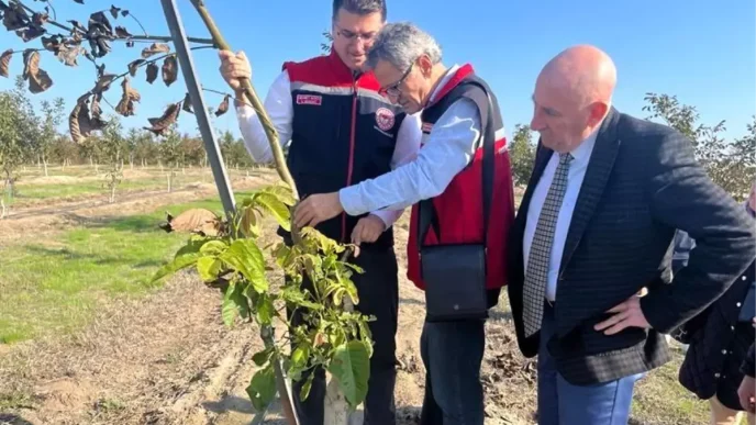 Tekirdag Il Tarim Muduru Ceviz Bahcesini Ziyaret Etti