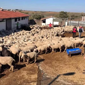 Tekirdag Tarim ve Orman Il Muduru Ciftcileri Ziyaret Etti