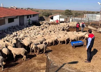 Tekirdag Tarim ve Orman Il Muduru Ciftcileri Ziyaret Etti