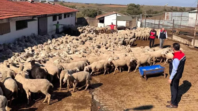 Tekirdag Tarim ve Orman Il Muduru Ciftcileri Ziyaret Etti