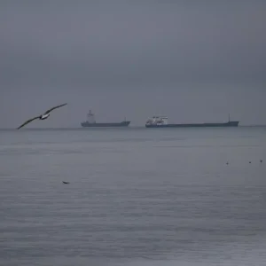Tekirdagda Poyraz Etkisini Yitirdi Deniz Ulasimi Normale Dondu