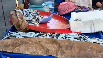 Tekirdagda Seyyar Balik Satisi Sardalya Baligi One Cikiyor