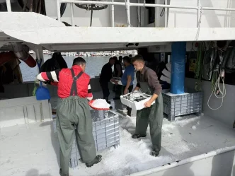 Tekirdagli Balikcilar Istavritle Dolu Donuyor