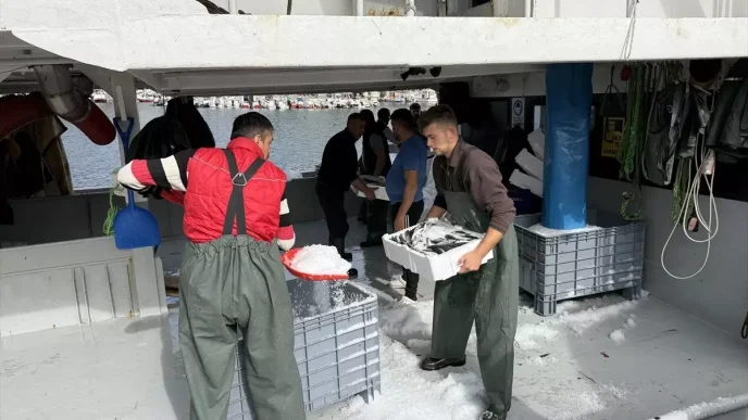 Tekirdagli Balikcilar Istavritle Dolu Donuyor