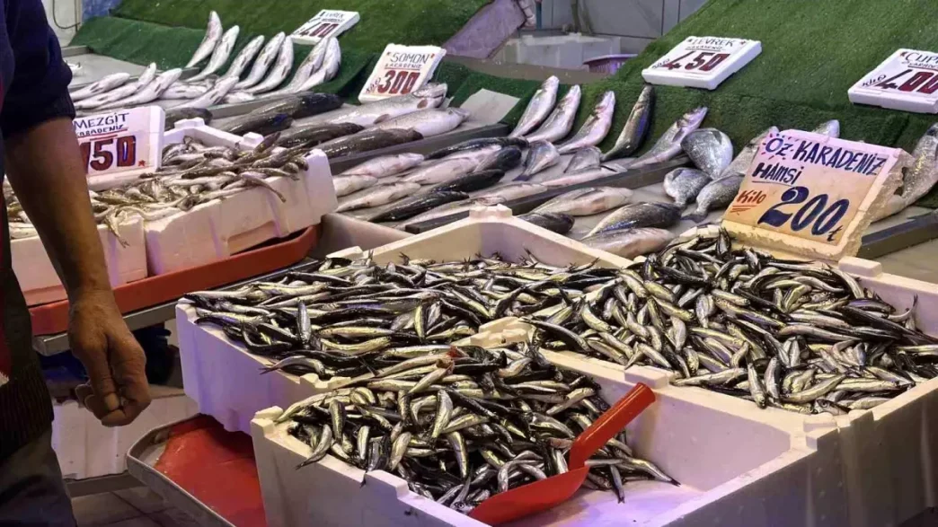 Tezgahlarda Hamsi Bereketi Kilosu 200 Lira