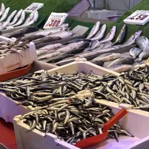 Tezgahlarda Hamsi Bereketi Kilosu 200 Lira