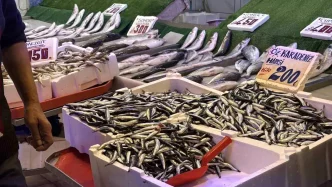 Tezgahlarda Hamsi Bereketi Kilosu 200 Lira