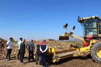 Tokat Pazarda Seker Pancari Hasadi Beklentisi Yuksek