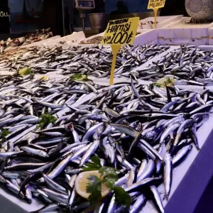 Trabzonda Hamsi Fiyatlari 100 Lira